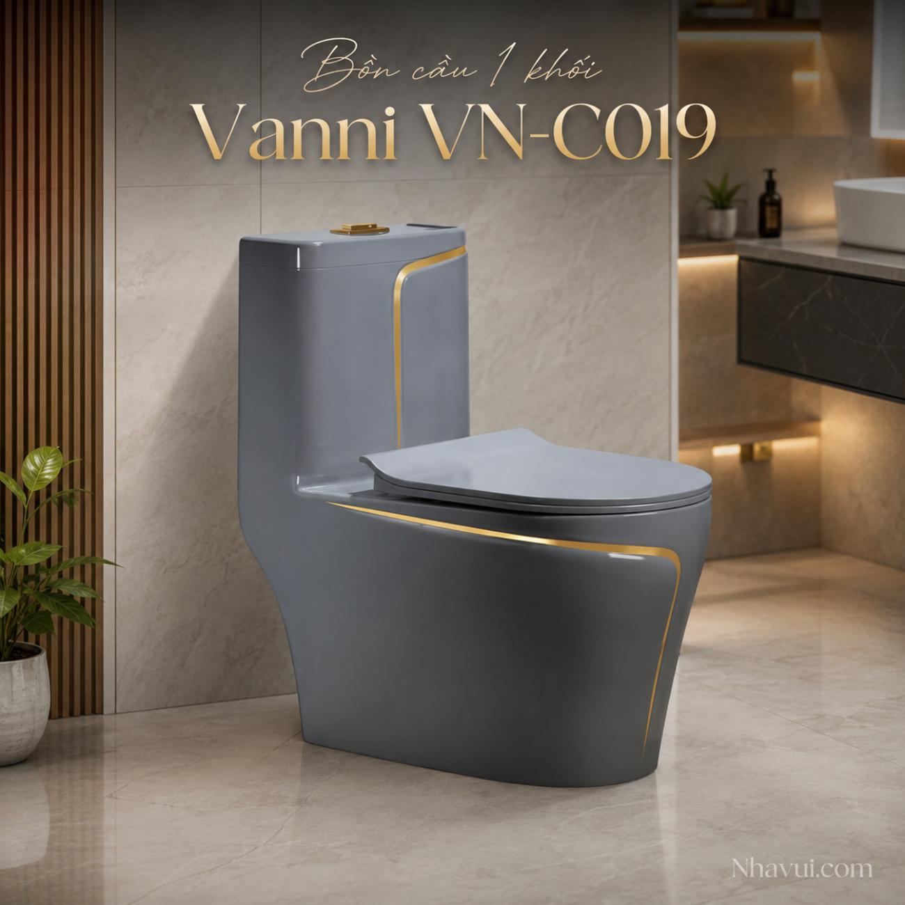 Bồn cầu 1 khối Vanni VN-C019 730x380x790mm tâm xả 300/400mm màu xám viền vàng