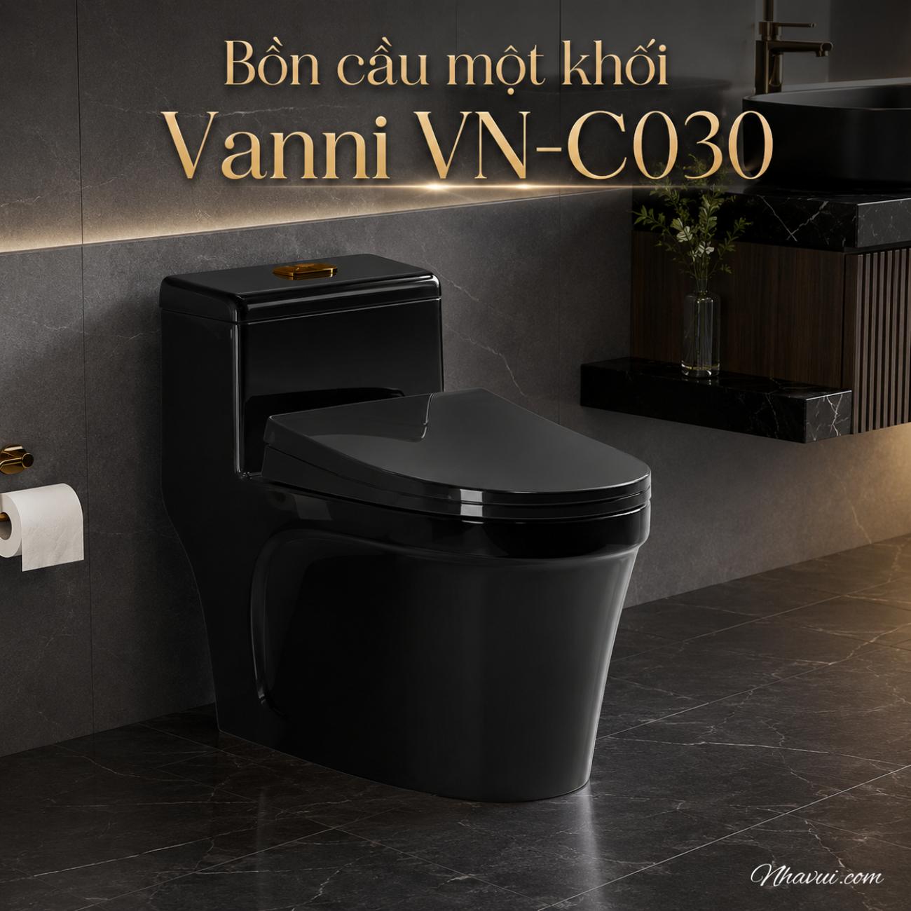 Bồn cầu một khối Vanni VN-C030 màu đen men tuyết phủ nano kháng khuẩn