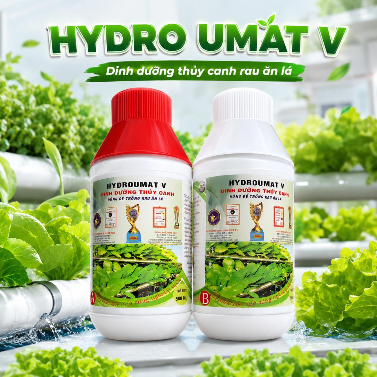 Hydro Umat V
