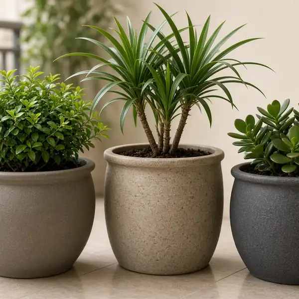 Chậu Để Sàn Cho Cây Nội Thất Và Cây Trang Trí Cỡ Lớn