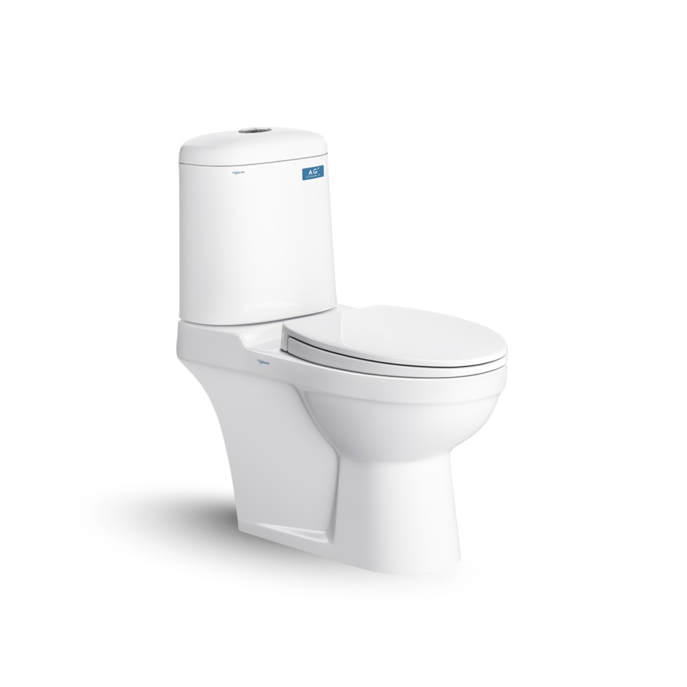 Bàn cầu hai khối Viglacera VI107