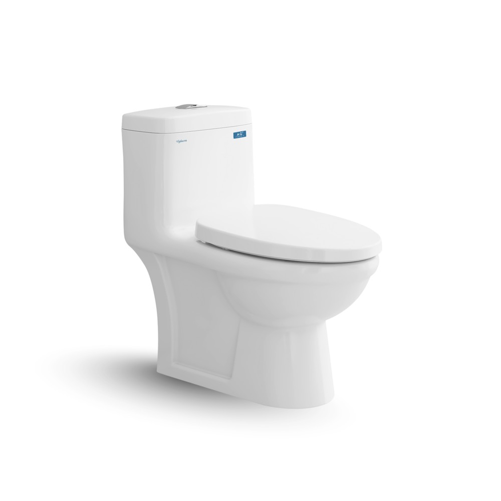 Bàn cầu một khối Viglacera BL5