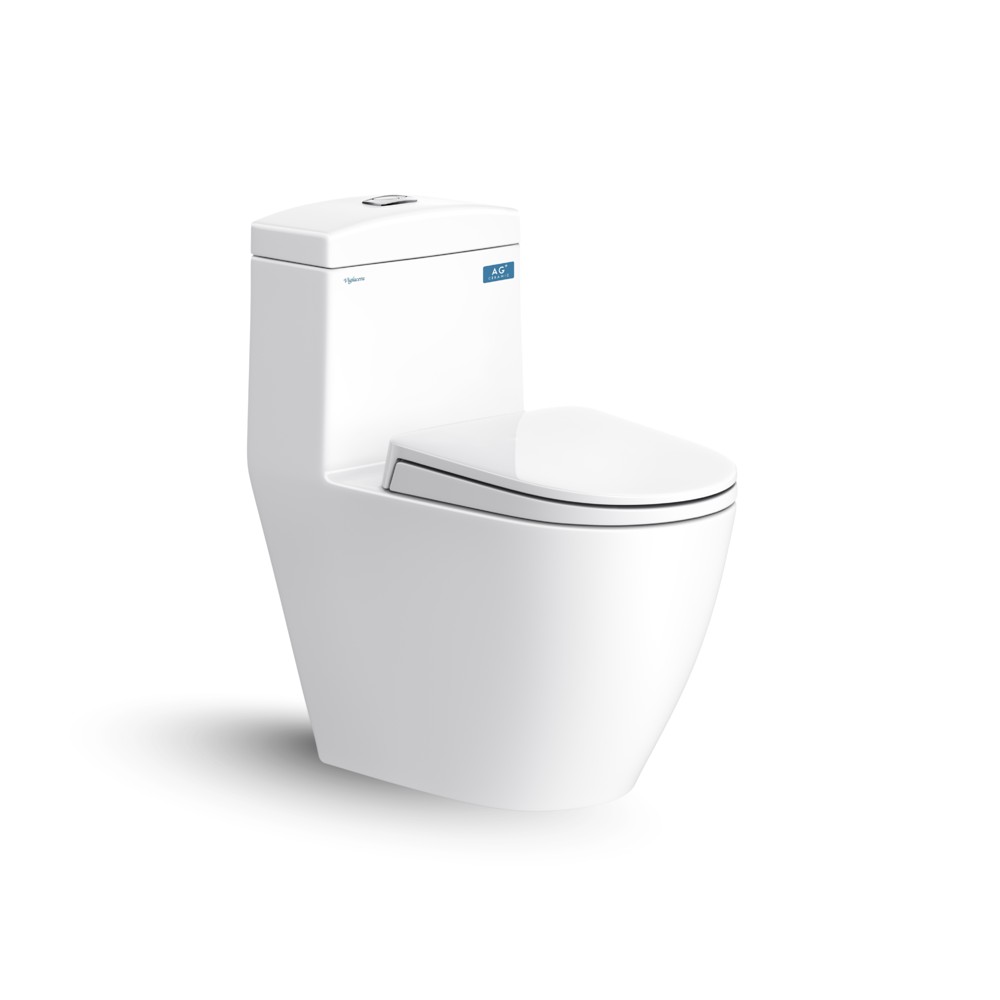 Bàn cầu một khối Viglacera V199
