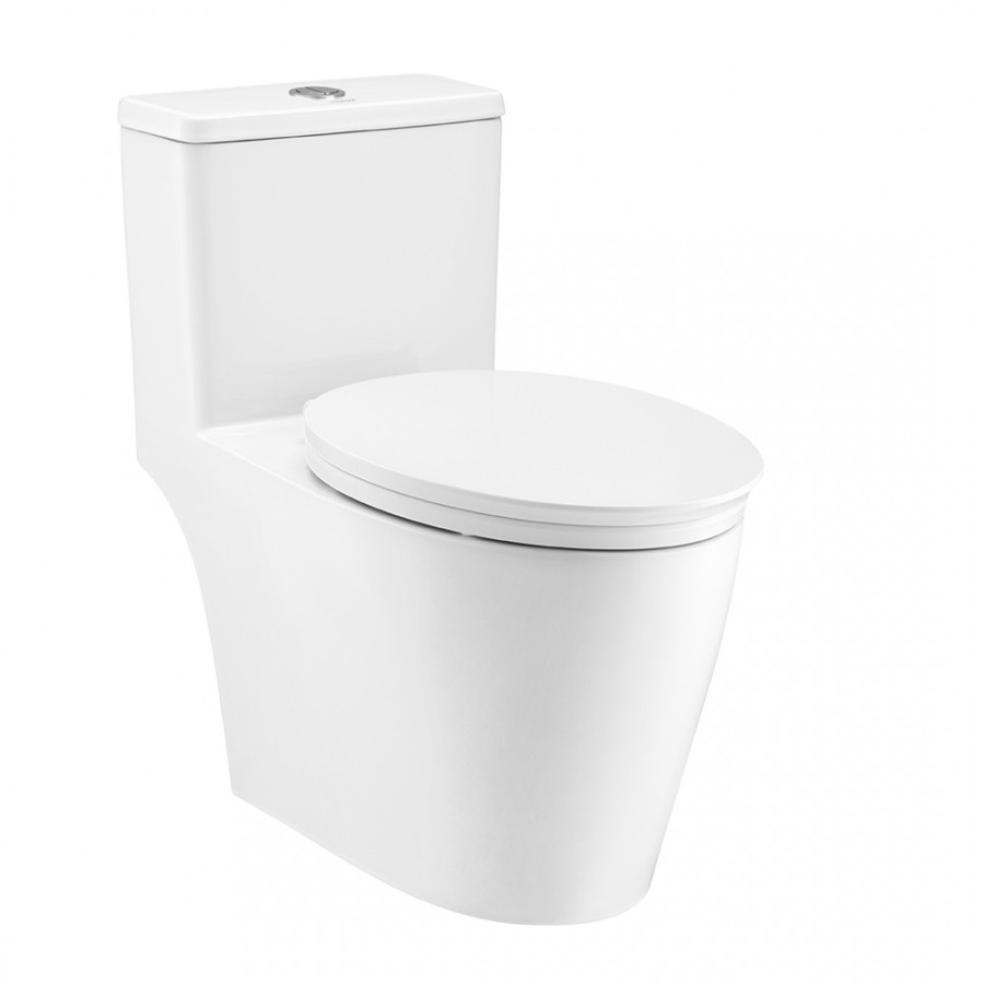 Bồn cầu một khối COTTO Harmony C110507
