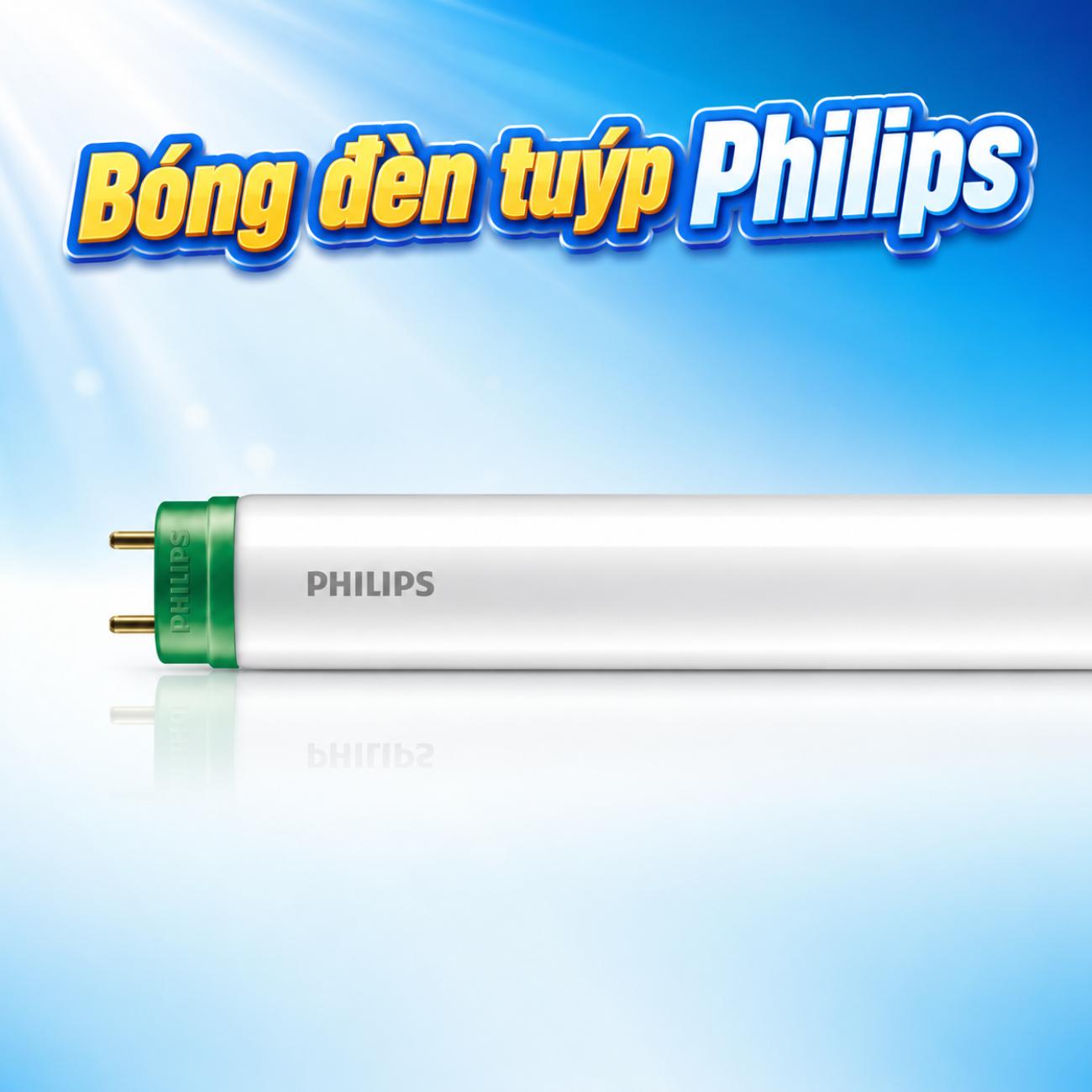 Bóng LED Tuýp Philips Ecofit / Ecofit HO T8 600mm / 1200mm