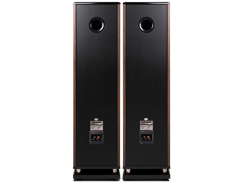 Loa đứng karaoke Guinness SS-108
