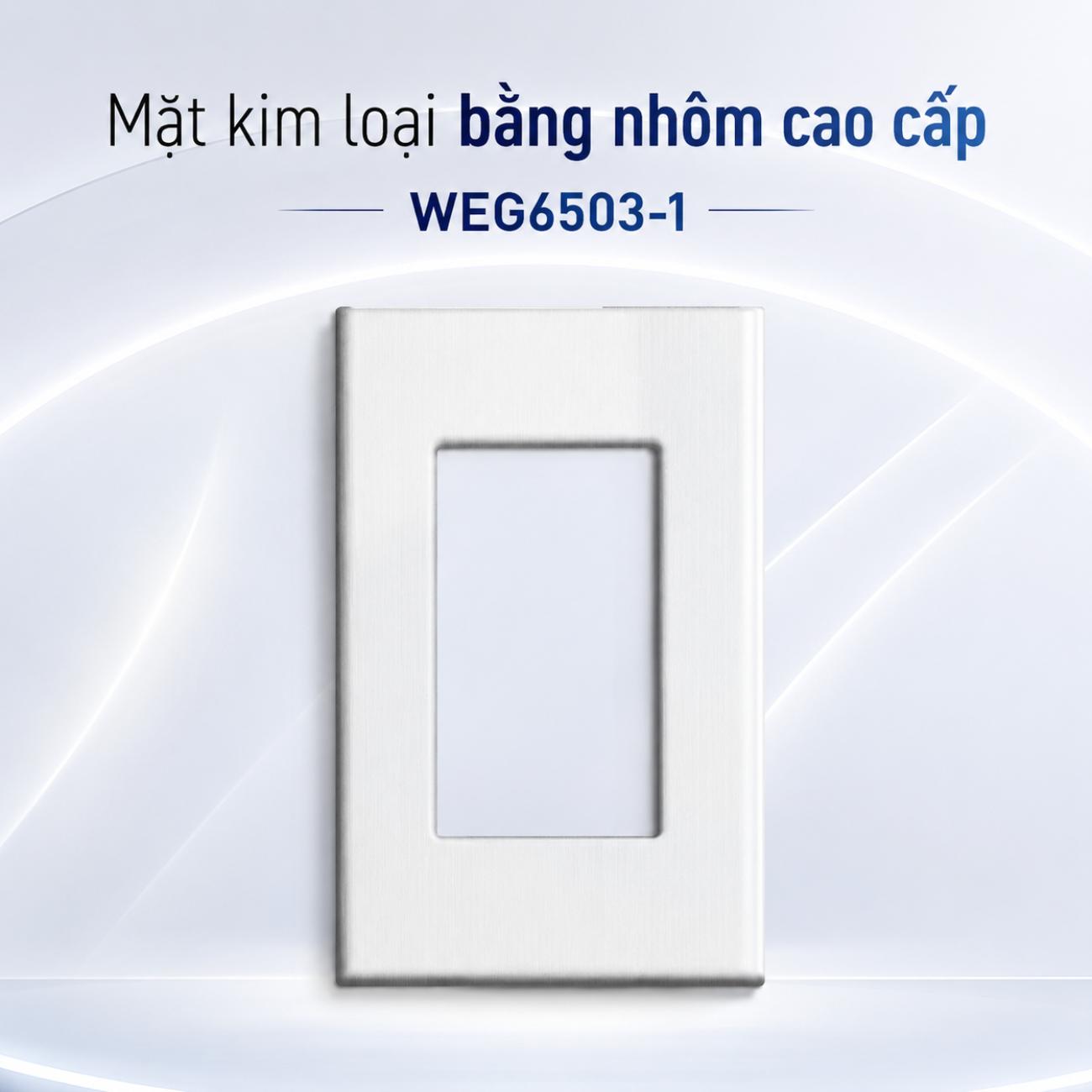 Mặt kim loại bằng nhôm cao cấp Panasonic WEG6503-1