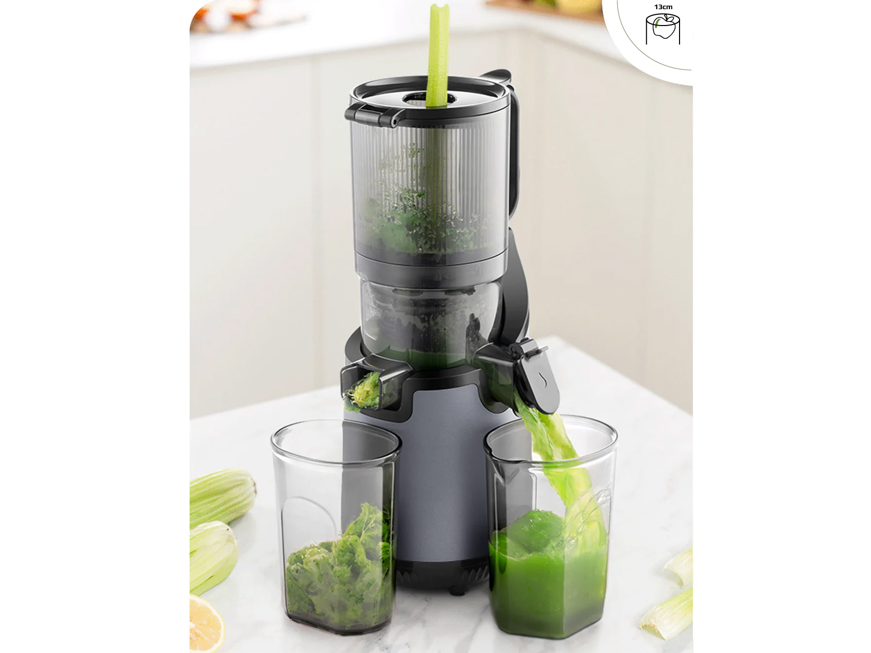 Máy ép chậm Olivo SJ196