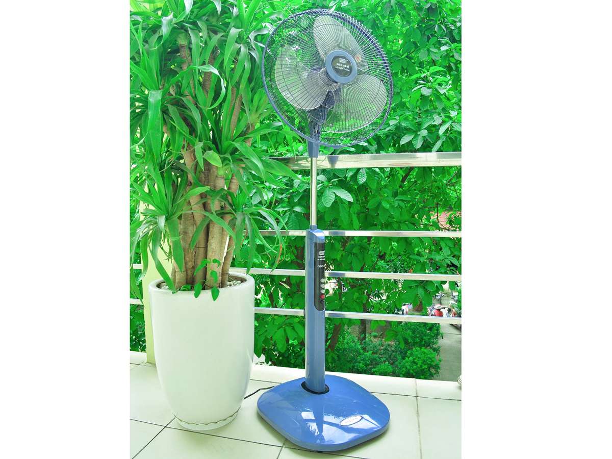 Quạt cây Điện Cơ 91 QĐC91 không điều khiển