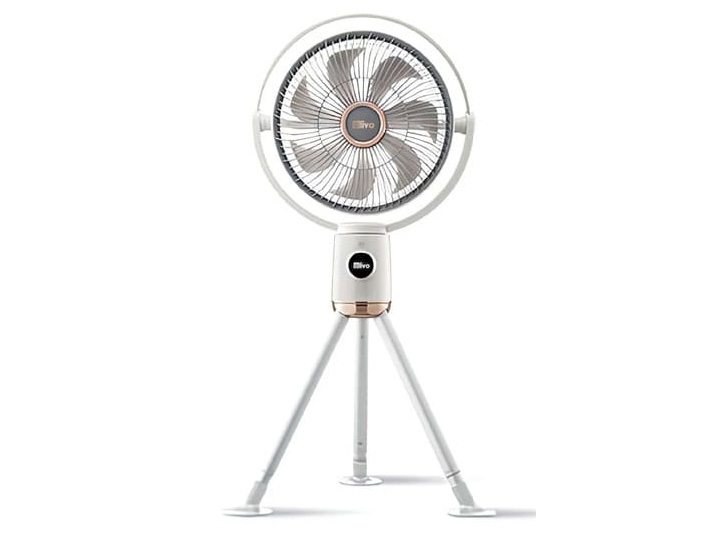 Quạt cây tích điện Olivo WF1