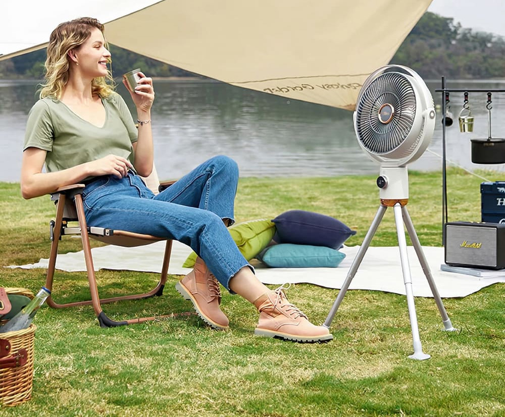 Quạt cây tích điện Olivo WF1